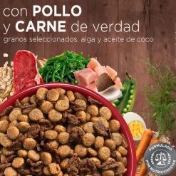Purina One Cachorros (0 A 12 Meses)^PURINA® ONE® Cachorro Pollo y Carne 6kg