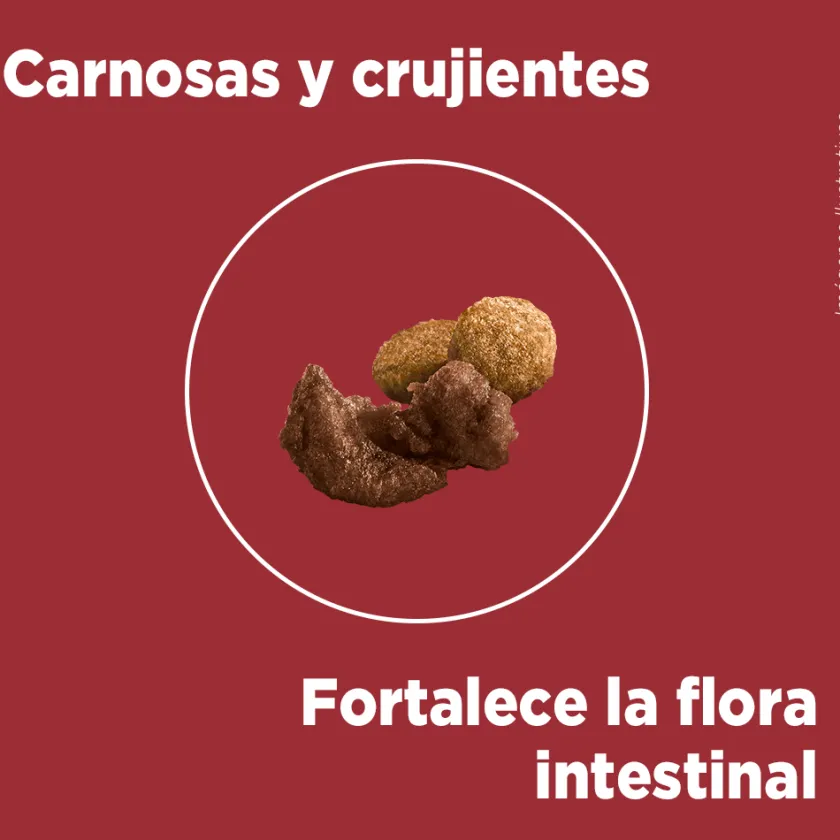Purina One Cachorros (0 A 12 Meses)^PURINA® ONE® Cachorro Pollo y Carne 6kg