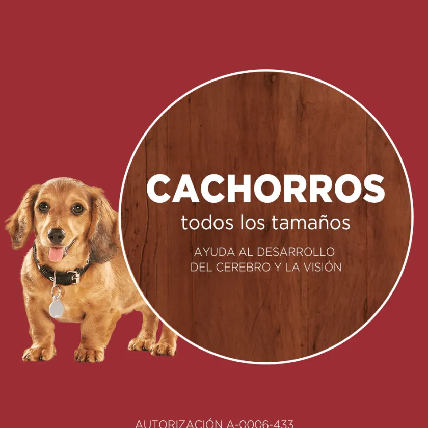 Purina One Cachorros (0 A 12 Meses)^PURINA® ONE® Cachorro Pollo y Carne 12kg