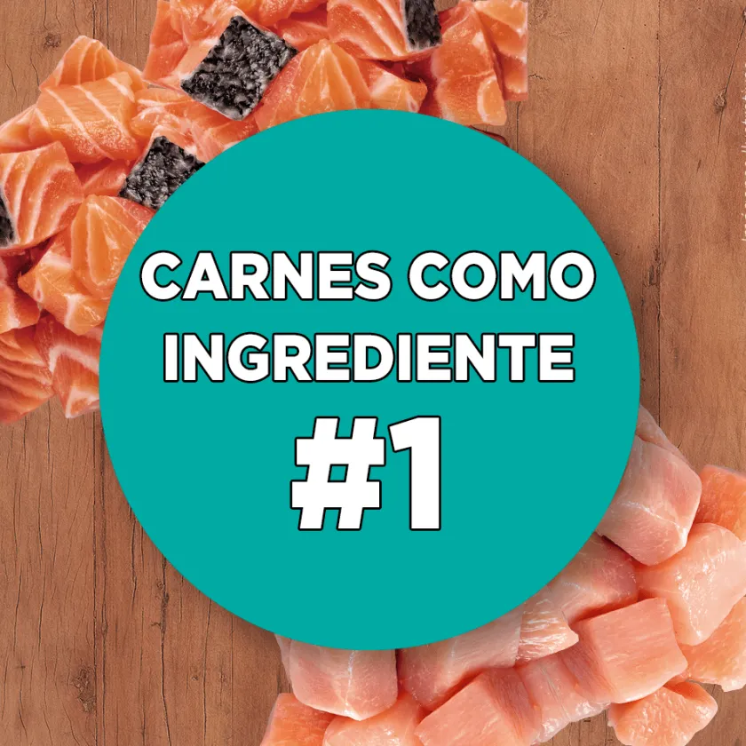 Purina One Castrados^PURINA® ONE® Esterilizado Pollo y Salmón 2kg