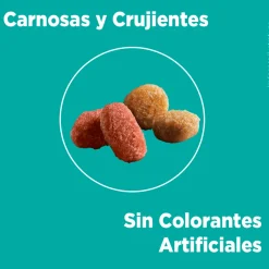 Purina One Castrados^PURINA® ONE® Esterilizado Pollo y Salmón 6kg