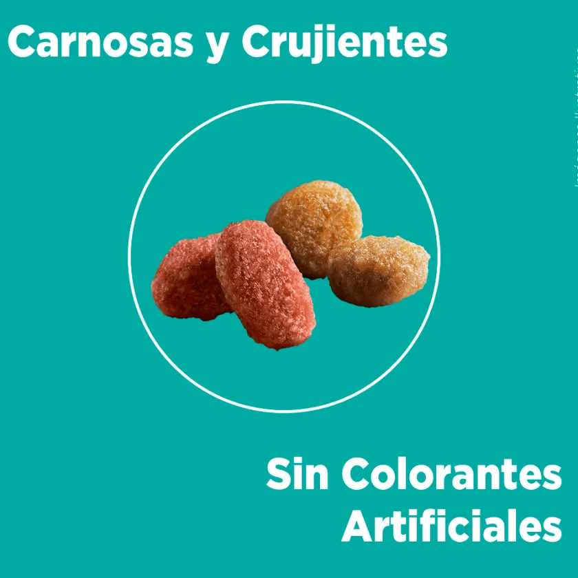 Purina One Castrados^PURINA® ONE® Esterilizado Pollo y Salmón 6kg