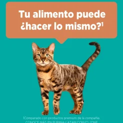 Purina One Castrados^PURINA® ONE® Esterilizado Pollo y Salmón 2kg