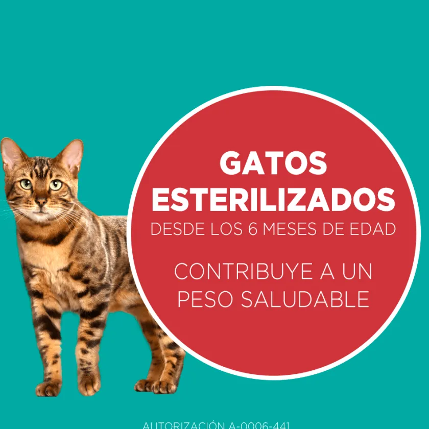 Purina One Castrados^PURINA® ONE® Esterilizado Pollo y Salmón 6kg
