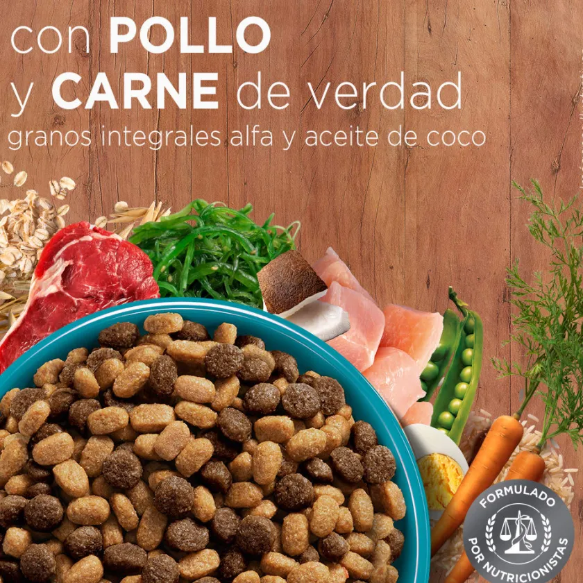 Purina One Gatitos (0 A 12 Meses)^PURINA® ONE® Gatito Pollo y Carne 2kg