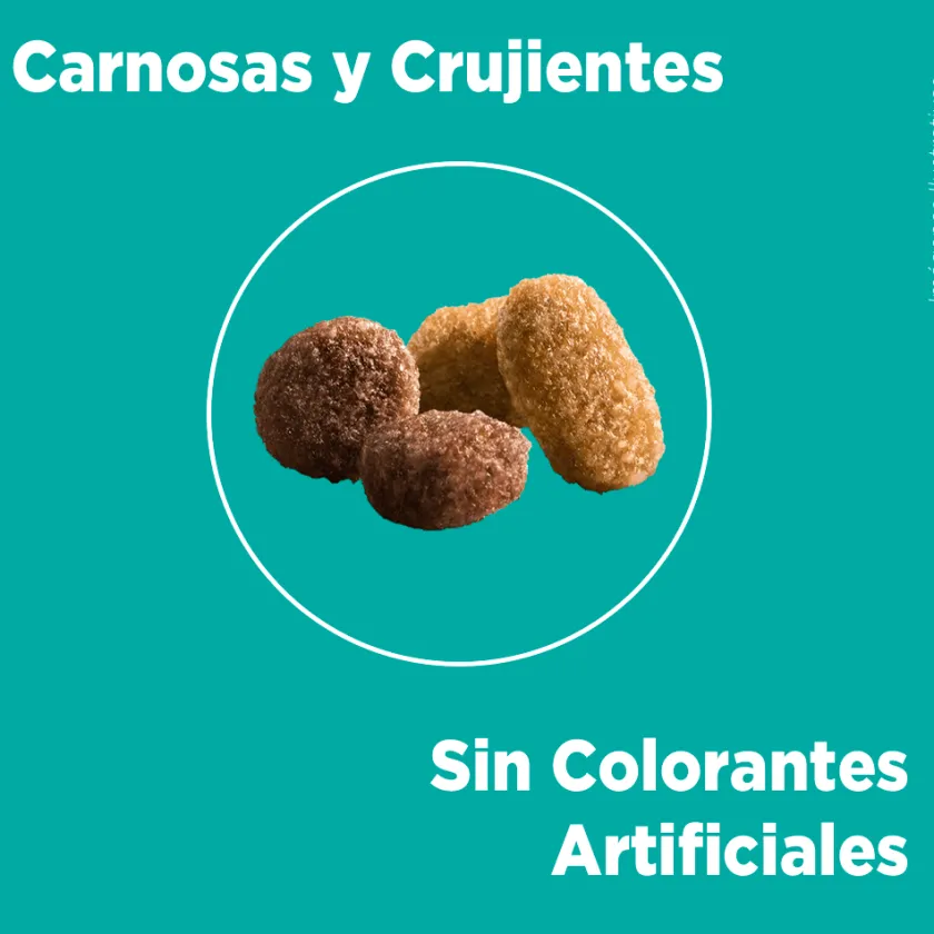 Purina One Gatitos (0 A 12 Meses)^PURINA® ONE® Gatito Pollo y Carne 2kg