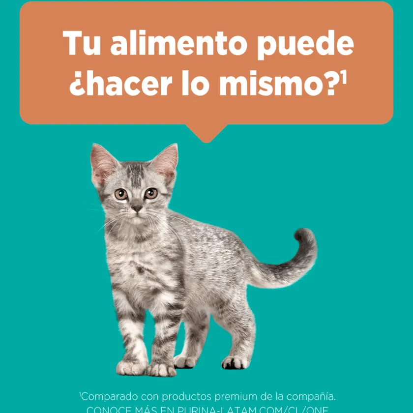 Purina One Gatitos (0 A 12 Meses)^PURINA® ONE® Gatito Pollo y Carne 2kg