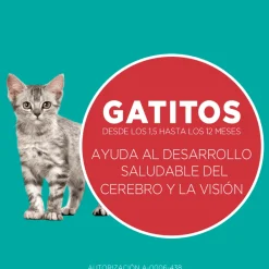 Purina One Gatitos (0 A 12 Meses)^PURINA® ONE® Gatito Pollo y Carne 2kg