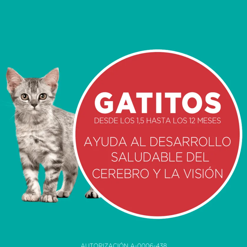 Purina One Gatitos (0 A 12 Meses)^PURINA® ONE® Gatito Pollo y Carne 2kg