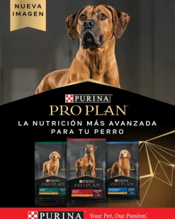 Pro Plan - Purina Senior (+7 Años)^Purina Pro Plan Active Mind 7+ Small con OptiAge 7.5kg