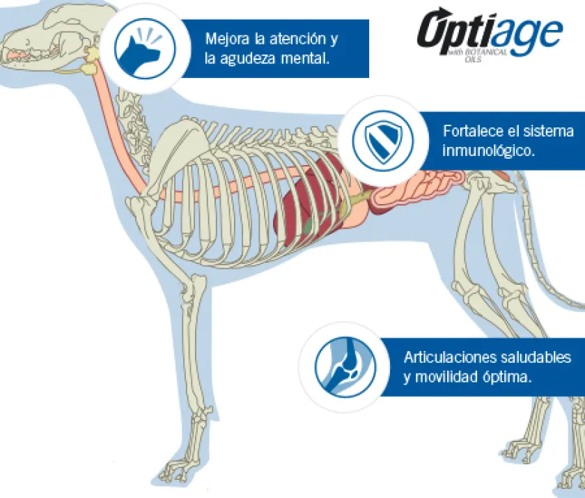 Pro Plan - Purina Senior (+7 Años)^Purina Pro Plan Active Mind 7+ Small con OptiAge 3kg
