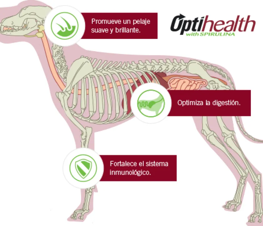 Pro Plan - Purina Adultos (1 A 7 Años)^Purina Pro Plan Adult Razas Medianas con OptiLife 3kg