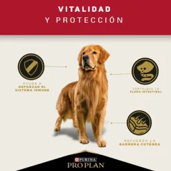 Pro Plan - Purina Adultos (1 A 7 Años)^Purina Pro Plan Adult Razas Medianas Con Optihealth 12 kg
