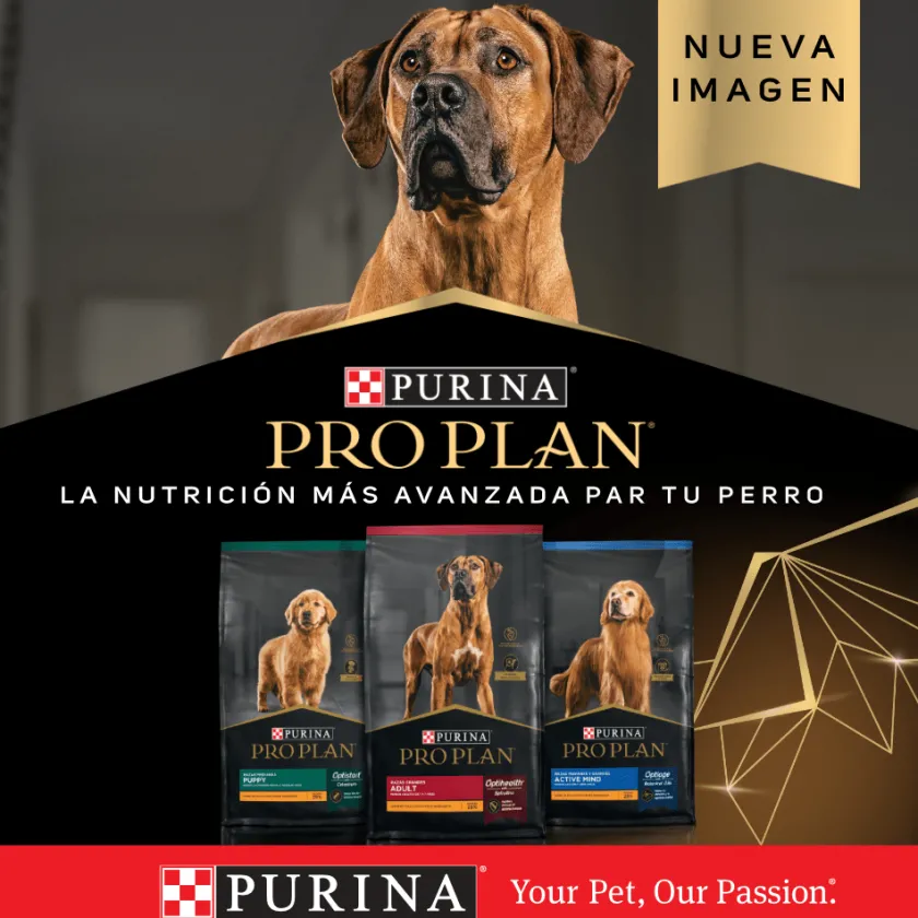 Pro Plan - Purina Adultos (1 A 7 Años)^Purina Pro Plan Adult Small con OptiLife 3kg