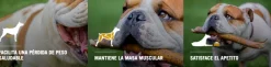 Pro Plan - Purina Control Peso^Purina PRO PLAN Adulto Raza Mediana y Grande Reduced Calorie 3kg