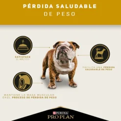 Pro Plan - Purina Control Peso^Purina Pro Plan Adulto Raza Mediana y Grande Reduced Calorie 12 kg