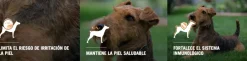 Pro Plan - Purina Adultos (1 A 7 Años)^Purina PRO PLAN Adulto Rz Mediana y Grande Sensitive Skin 3kg