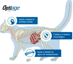 Pro Plan - Purina Senior (+7 Años)^Purina Pro Plan Cat Adult +7 con OptiAge 3kg