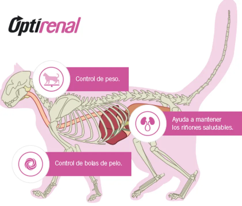 Pro Plan - Purina Castrados^Purina Pro Plan Cat Sterilized con OptiRenal 3kg