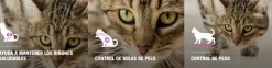 Pro Plan - Purina Castrados^Purina Pro Plan Cat Sterilized con OptiRenal 3kg