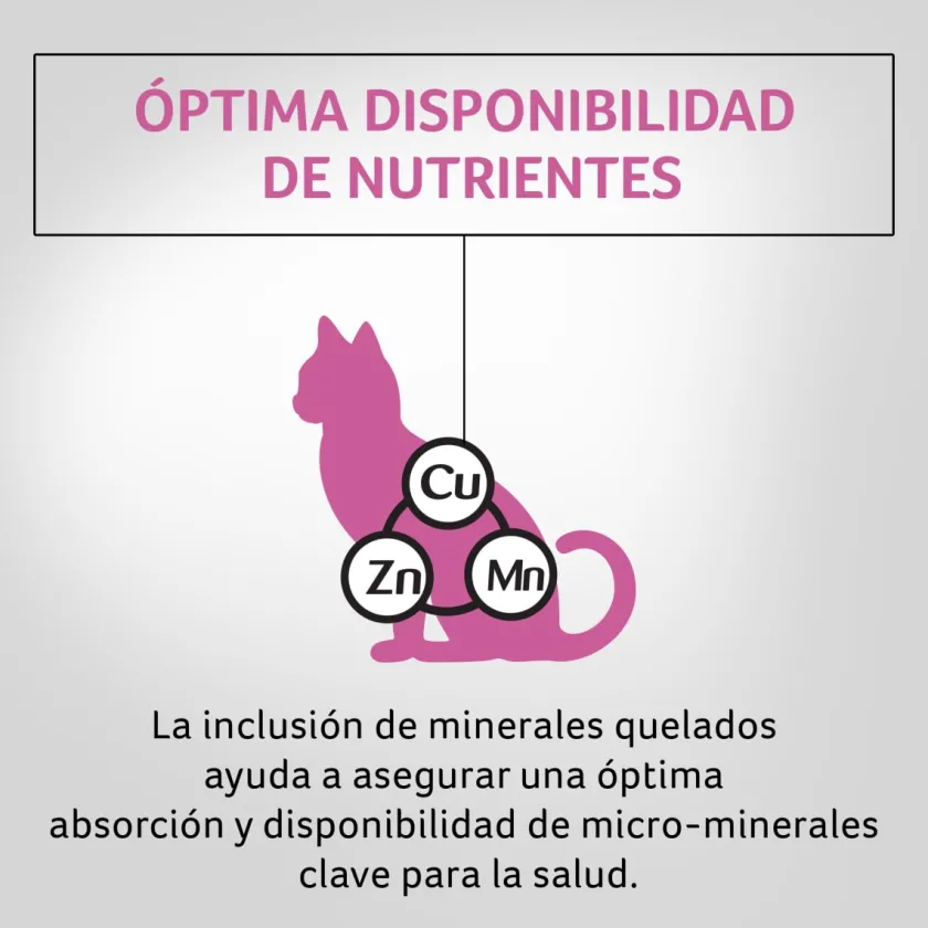 Pro Plan - Purina Castrados^Purina Pro Plan Cat Sterilized con OptiRenal 3kg