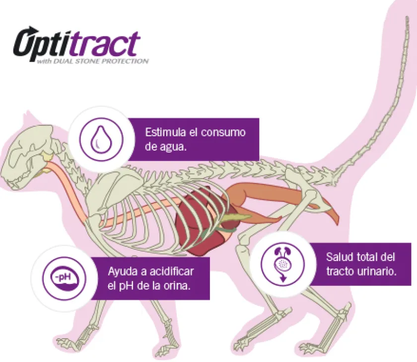 Pro Plan - Purina Adultos (1 A 7 Años)^Purina Pro Plan Cat Urinary con OptiTract 7.5kg
