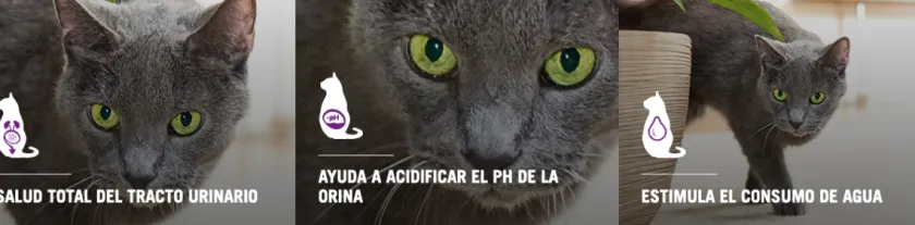 Pro Plan - Purina Adultos (1 A 7 Años)^Purina Pro Plan Cat Urinary con OptiTract 1kg
