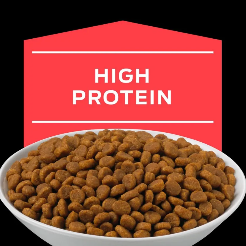 Pro Plan - Purina Alimentación Medicada^Purina Pro Plan DM Diabetes Felino 1.5kg