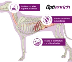 Pro Plan - Purina Adultos (1 A 7 Años)^Purina Pro Plan Exigent Small con OptiEnrich 3kg