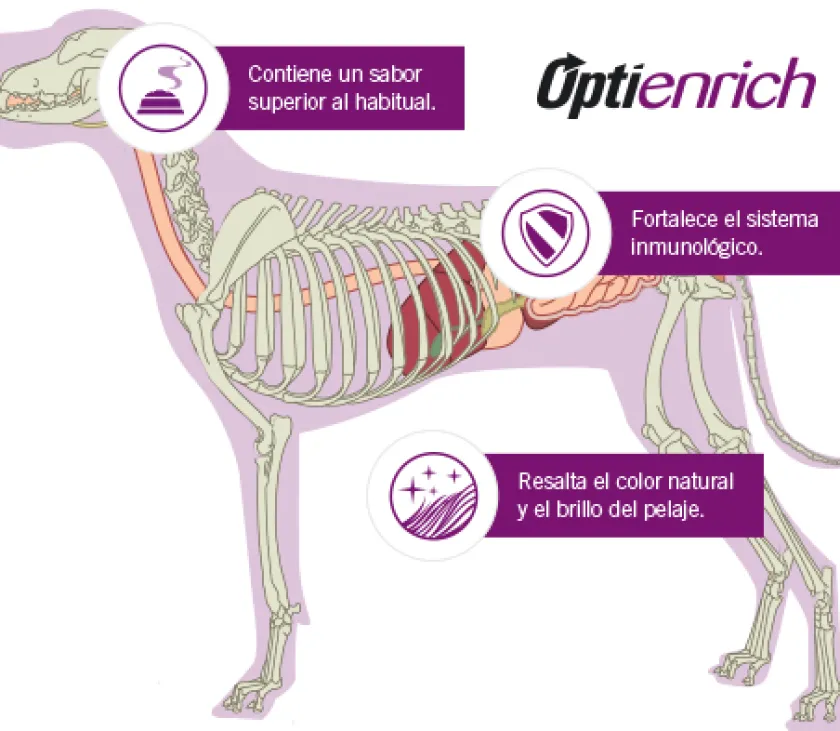 Pro Plan - Purina Adultos (1 A 7 Años)^Purina Pro Plan Exigent Small con OptiEnrich 3kg