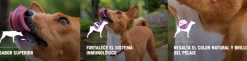 Pro Plan - Purina Adultos (1 A 7 Años)^Purina Pro Plan Exigent Small con OptiEnrich 3kg