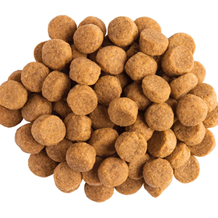 Pro Plan - Purina Alimentación Medicada^Purina Pro Plan JM Joint Mobility Canino 2kg