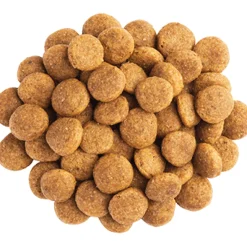 Pro Plan - Purina Alimentación Medicada | Senior (+7 Años)^Purina Pro Plan NC Neuro Care Canino 2kg