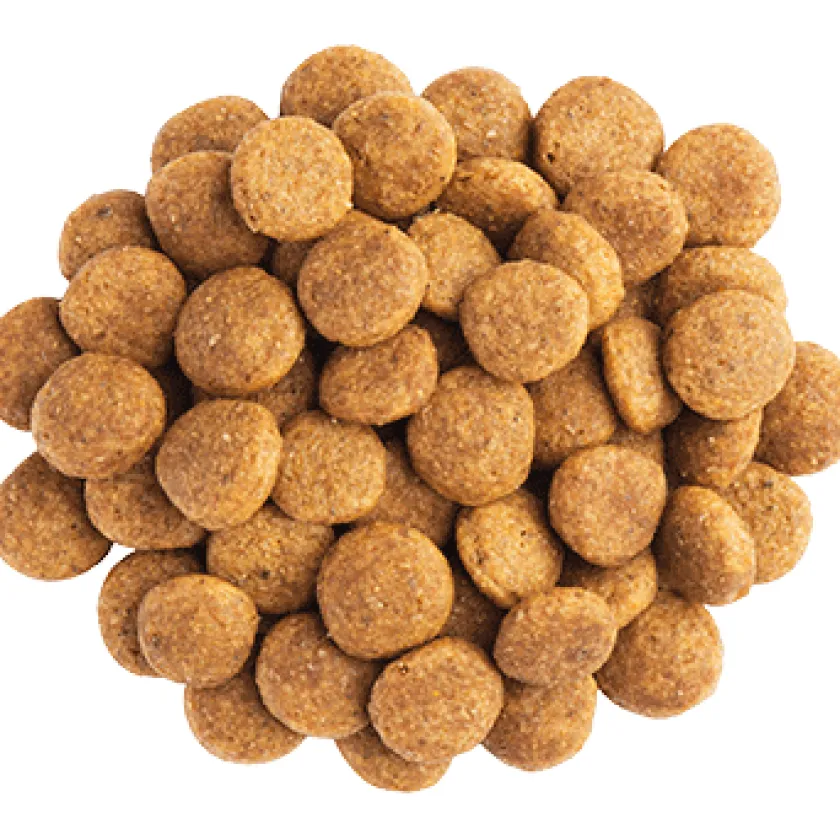 Pro Plan - Purina Alimentación Medicada | Senior (+7 Años)^Purina Pro Plan NC Neuro Care Canino 2kg