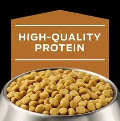 Pro Plan - Purina Alimentación Medicada^Purina Pro Plan NF Kidney Function Canino 2kg