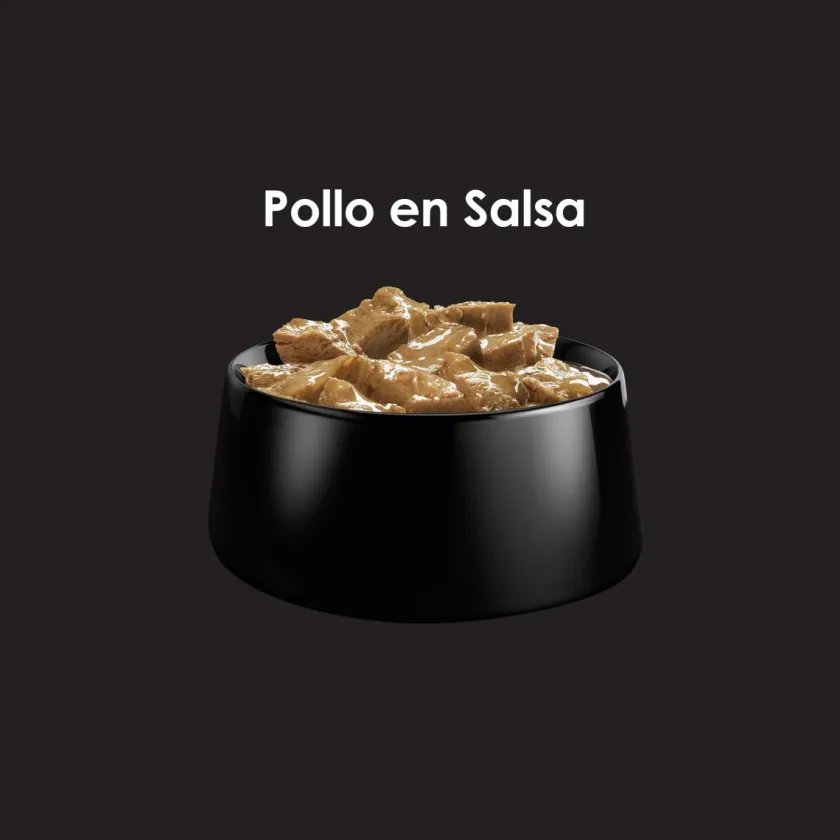 Pro Plan - Purina Húmedos^Purina Pro Plan Perro Adulto Lata 368.5gr Pack 5 unidades