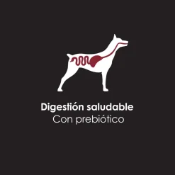 Pro Plan - Purina Húmedos^Purina Pro Plan Perro Adulto Lata 368.5gr Pack 12 unidades