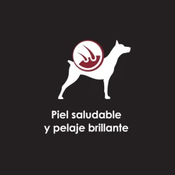 Pro Plan - Purina Húmedos^Purina Pro Plan Perro Adulto Lata 368.5gr Pack 5 unidades