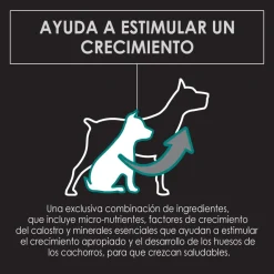Pro Plan - Purina Cachorros (0 A 12 Meses)^Purina Pro Plan Puppy Large con OptiStar 15kg