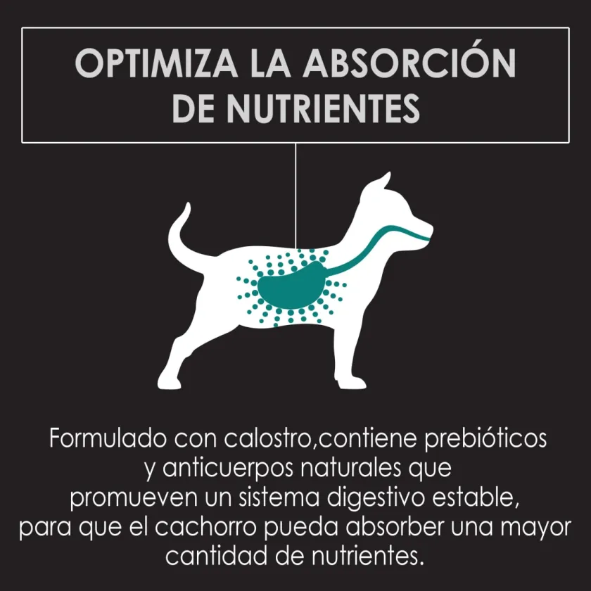 Pro Plan - Purina Cachorros (0 A 12 Meses)^Purina Pro Plan Puppy Large con OptiStar 15kg