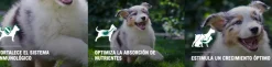 Pro Plan - Purina Cachorros (0 A 12 Meses)^Purina Pro Plan Puppy Small con OptiStar 7.5kg