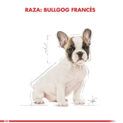 Royal Canin Específicos Para Razas^Bulldog Frances Junior 3kg