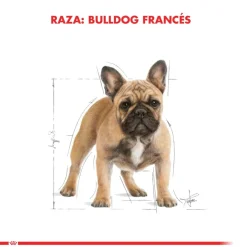 Royal Canin Específicos Para Razas^Bulldog Frances Adulto 7.5kg