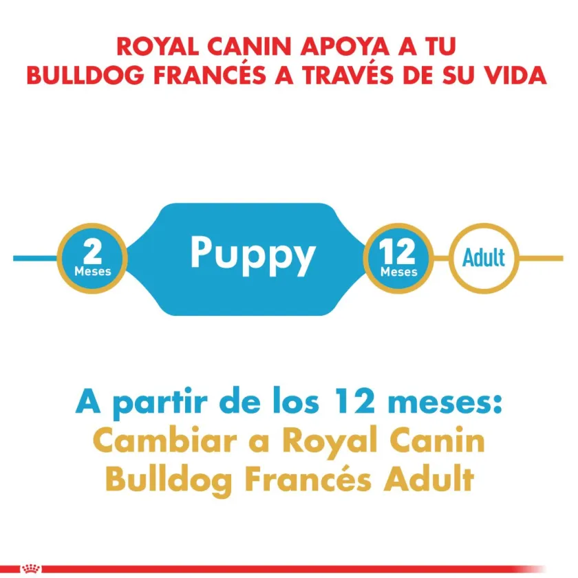 Royal Canin Específicos Para Razas^Bulldog Frances Junior 3kg