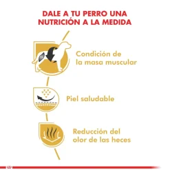 Royal Canin Específicos Para Razas^Bulldog Frances Adulto 7.5kg