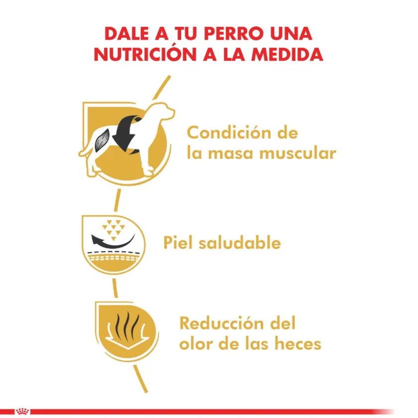 Royal Canin Específicos Para Razas^Bulldog Frances Adulto 3kg