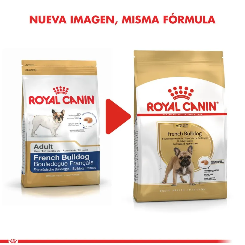 Royal Canin Específicos Para Razas^Bulldog Frances Adulto 7.5kg