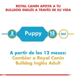 Royal Canin Específicos Para Razas^Bulldog Ingles Junior 12kg