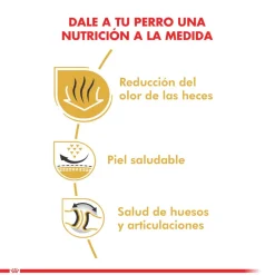Royal Canin Específicos Para Razas^Bulldog Ingles Adulto 12kg