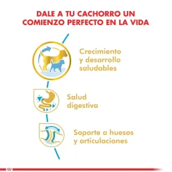 Royal Canin Específicos Para Razas^Bulldog Ingles Junior 12kg